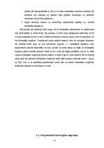 Diplomdarbs 'Starptautiskās darbaspēka migrācijas ietekme uz Latvijas darba tirgu un tā attīs', 18.