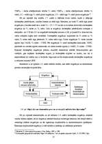 Diplomdarbs 'Starptautiskās darbaspēka migrācijas ietekme uz Latvijas darba tirgu un tā attīs', 25.