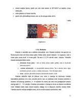 Referāts 'Narkotisko vielu lietošana pusaudžu vidū', 11.