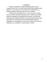 Referāts 'Narkotisko vielu lietošana pusaudžu vidū', 21.