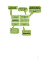 Referāts 'Loģistikas būtība dārzeņu audzēšanas uzņēmumā', 11.