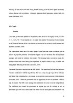 Referāts 'The Role of IMF and its Impact on Latvia and Argentina', 25.