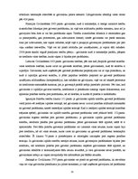 Diplomdarbs 'Galvojums kā saistību tiesību pastiprināšanas veids', 33.