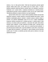 Diplomdarbs 'Galvojums kā saistību tiesību pastiprināšanas veids', 36.