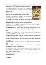 Referāts 'Japāņu etiķete', 9.