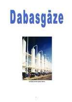 Referāts 'Dabasgāze', 1.