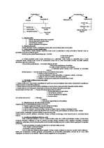 Konspekts 'Finanses', 5.