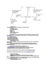 Konspekts 'Finanses', 12.