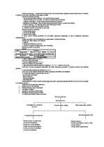 Konspekts 'Finanses', 13.