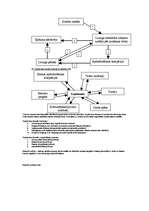 Konspekts 'Finanses', 18.