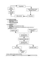 Konspekts 'Finanses', 19.