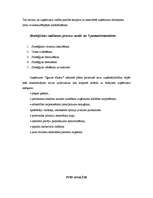 Konspekts 'Stratēģiskā vadībzinība', 6.