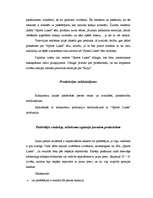 Konspekts 'Stratēģiskā vadībzinība', 11.