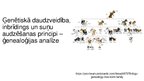 Prezentācija 'Ģenētiskā daudzveidība, inbrīdings un suņu audzēšanas principi - ģenealoģijas an', 4.