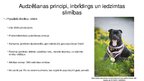 Prezentācija 'Ģenētiskā daudzveidība, inbrīdings un suņu audzēšanas principi - ģenealoģijas an', 10.