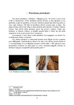 Referāts 'Tetovēšanas vēsture Japānā', 6.