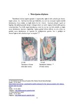 Referāts 'Tetovēšanas vēsture Japānā', 11.