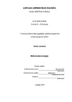 Referāts 'Hidrometeoroloģija', 1.