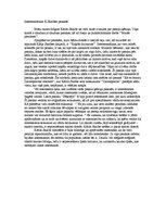 Eseja 'Interesantākais Kārļa Skalbes pasakās', 1.