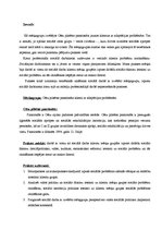 Prakses atskaite 'Cēsu pilsētas pansionāta klienti ar adaptācijas problēmām', 3.