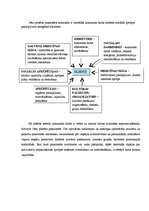 Prakses atskaite 'Cēsu pilsētas pansionāta klienti ar adaptācijas problēmām', 13.