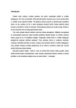 Prakses atskaite 'Cēsu pilsētas pansionāta klienti ar adaptācijas problēmām', 18.