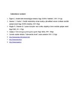 Prakses atskaite 'Cēsu pilsētas pansionāta klienti ar adaptācijas problēmām', 21.