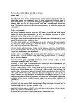 Referāts 'Starptautiskās valūtas attiecības', 6.