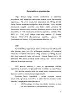 Konspekts 'Starptautiskās organizācijas, to ieguldījums drošības un miera saglabāšanā pasau', 4.