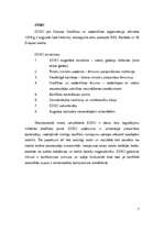 Konspekts 'Starptautiskās organizācijas, to ieguldījums drošības un miera saglabāšanā pasau', 7.