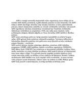 Eseja 'Starptautiskās organizācijas - ANO', 4.