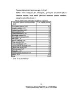 Referāts 'Tukuma pilsētas teritoriālais plānojums', 15.