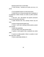 Referāts 'Tukuma pilsētas teritoriālais plānojums', 20.