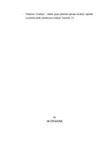 Referāts 'Tukuma pilsētas teritoriālais plānojums', 24.