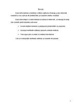 Referāts 'Reklāmas veidošana un efektivitātes noteikšana', 2.