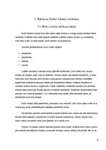 Referāts 'Reklāmas veidošana un efektivitātes noteikšana', 14.