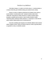 Referāts 'Reklāmas veidošana un efektivitātes noteikšana', 23.