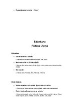 Paraugs 'Ēdienkarte', 2.