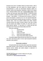 Referāts 'Grāmatvedības kontu plāns, tā nozīme un uzdevumi', 5.