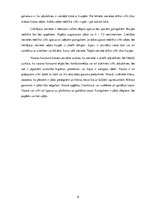 Referāts 'Lietišķā cilvēka ārējais izskats un ģērbšanās stils', 6.