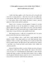 Referāts 'Lietišķā cilvēka ārējais izskats un ģērbšanās stils', 7.