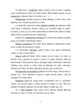 Referāts 'Masāža ar medu, ledu un ārstnieciskajām eļļām', 5.