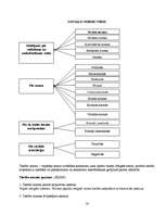 Konspekts 'Tiesību teorija', 16.