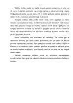 Referāts 'Transportlīdzekļu nolaupīšanas izmeklēšana', 3.