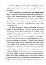 Referāts 'Transportlīdzekļu nolaupīšanas izmeklēšana', 10.