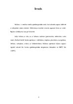 Konspekts 'Kalšana', 2.