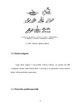 Konspekts 'Kalšana', 5.