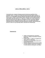 Referāts 'Septiņi pasaules brīnumi', 4.