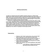 Referāts 'Septiņi pasaules brīnumi', 6.