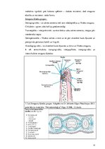 Diplomdarbs 'Periodonta slimību diagnostika un ārstēšanas metodes', 10.